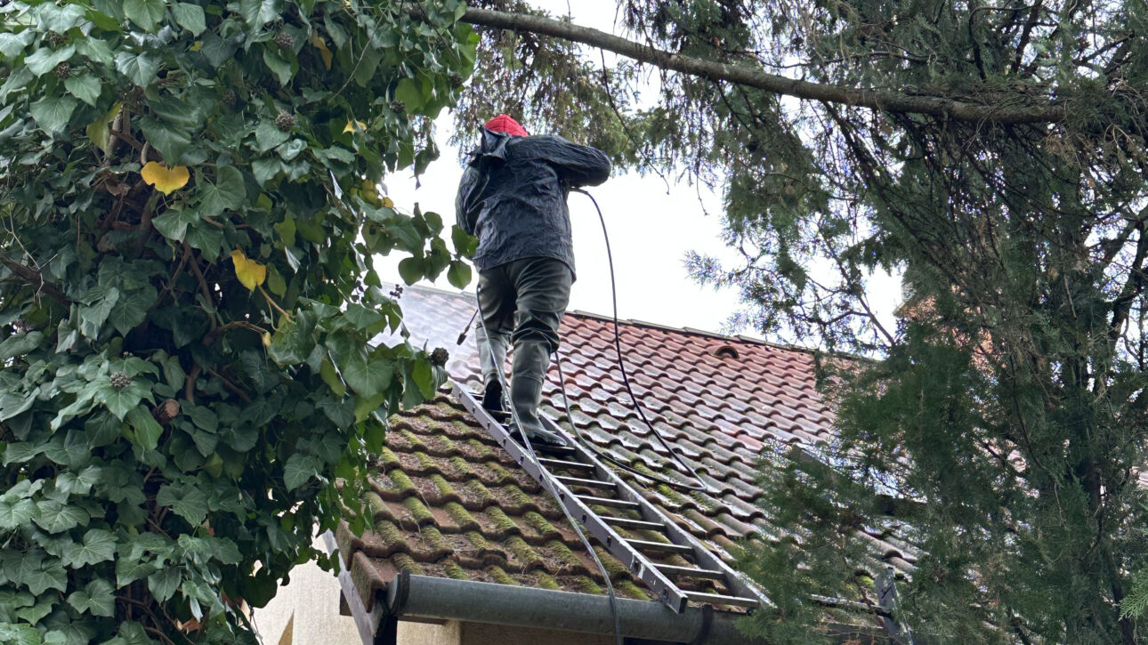 Mohás családi ház tető, amely tetőmosást igényel