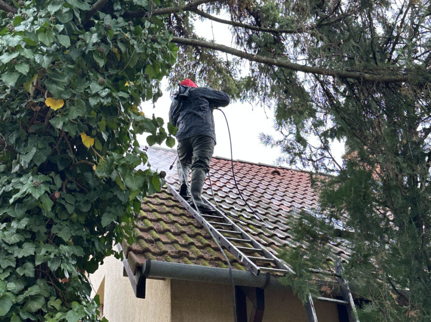 Mohás családi ház tető, amely tetőmosást igényel