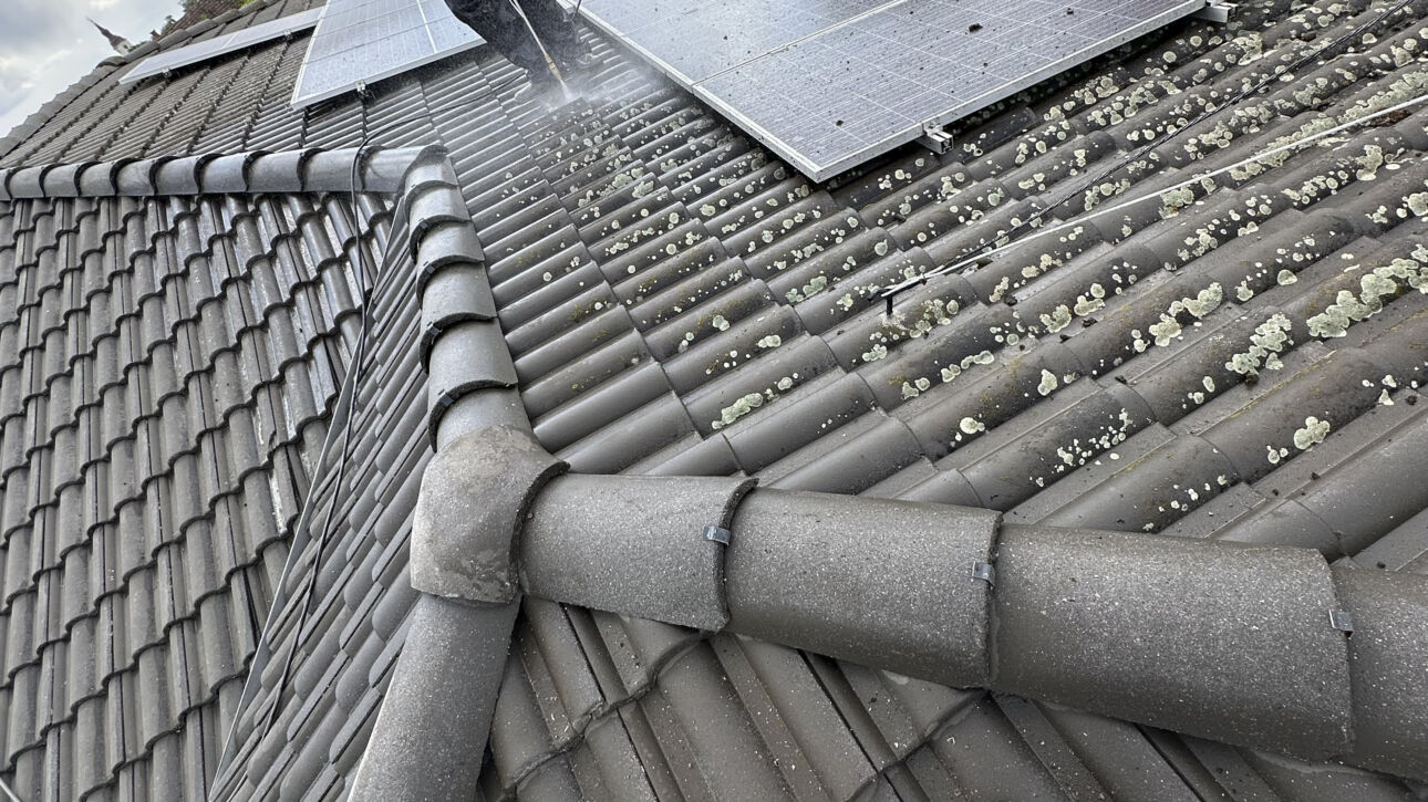 Erősen mohás tető, amely hosszú távon károsodhat