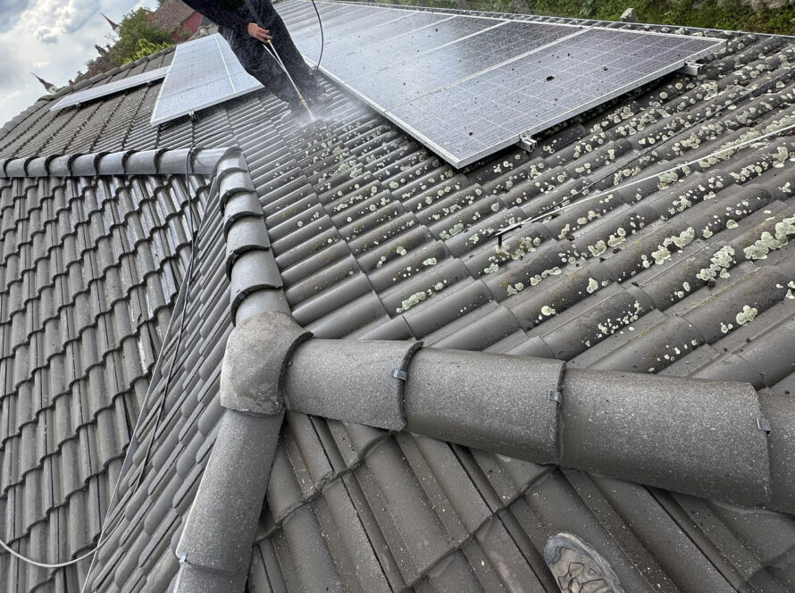 Erősen mohás tető, amely hosszú távon károsodhat