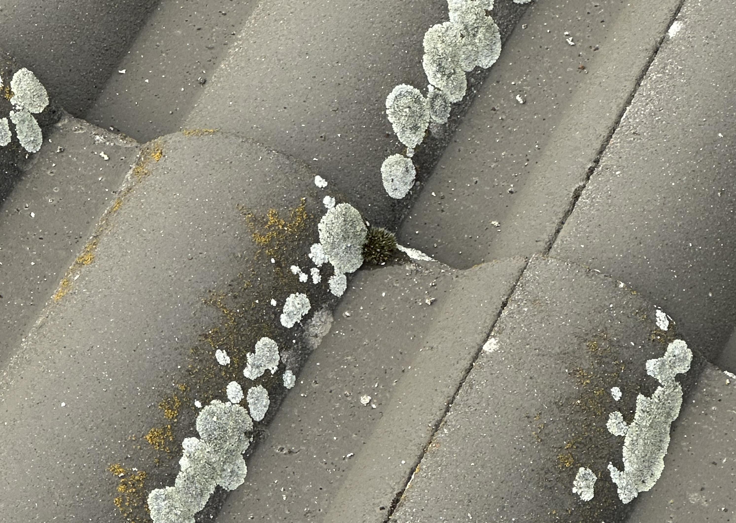 tetőtisztítás Balatonszepezd Balatonszepezd városában magasnyomású mosóval