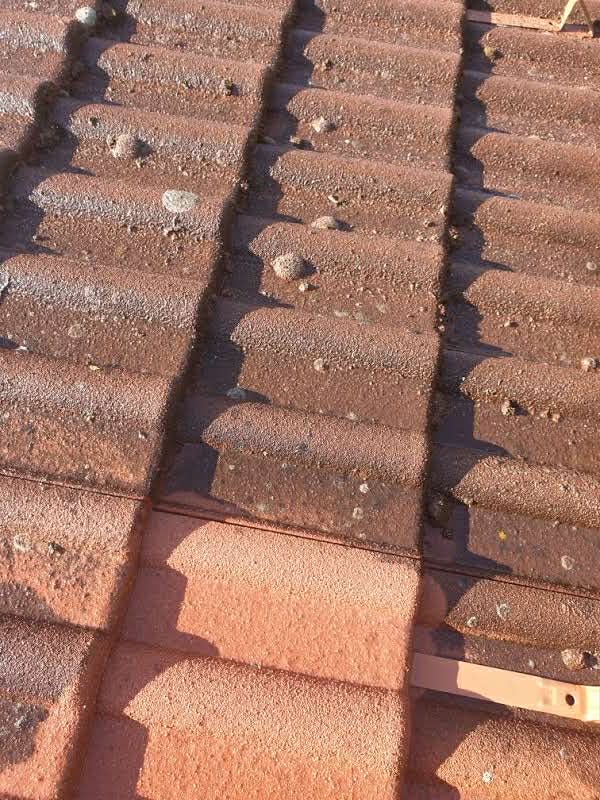 tetőtisztítás Balkány Balkány városában magasnyomású mosóval