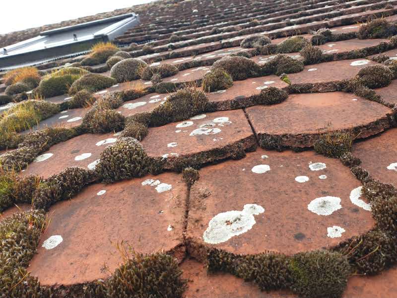 tetőtisztítás Bezenye Bezenye városában magasnyomású mosóval