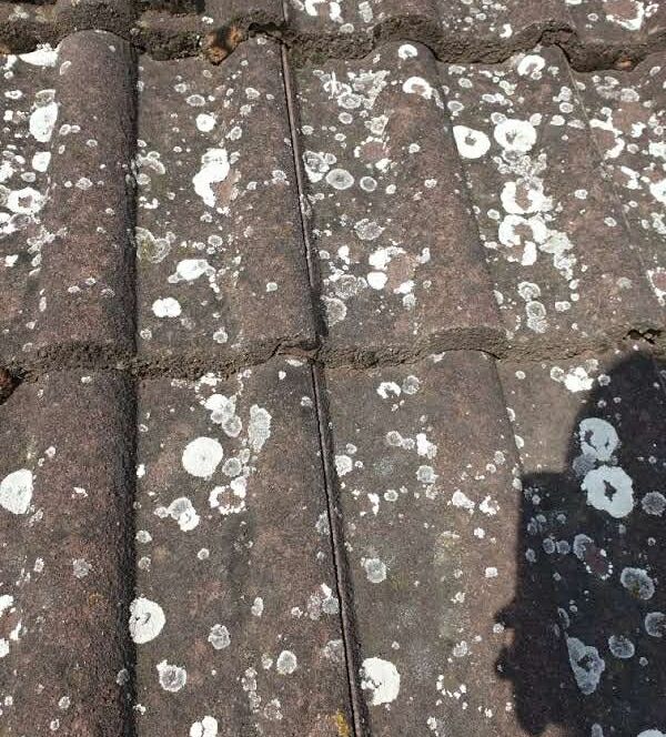 Tetőtisztítás házilag Csurgó városában magasnyomású mosóval