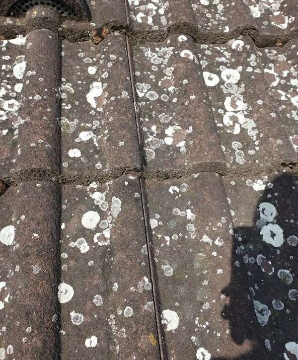 Tetőtisztítás házilag Csurgó városában magasnyomású mosóval