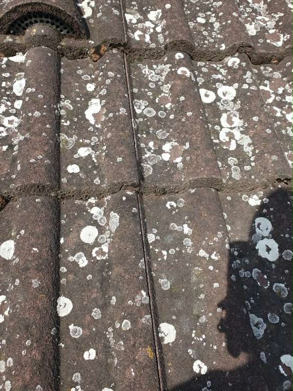 Professzionális tetőtisztítás Kecskemét tetőtisztítás Kecskemét Kecskemét városában magasnyomású mosóval