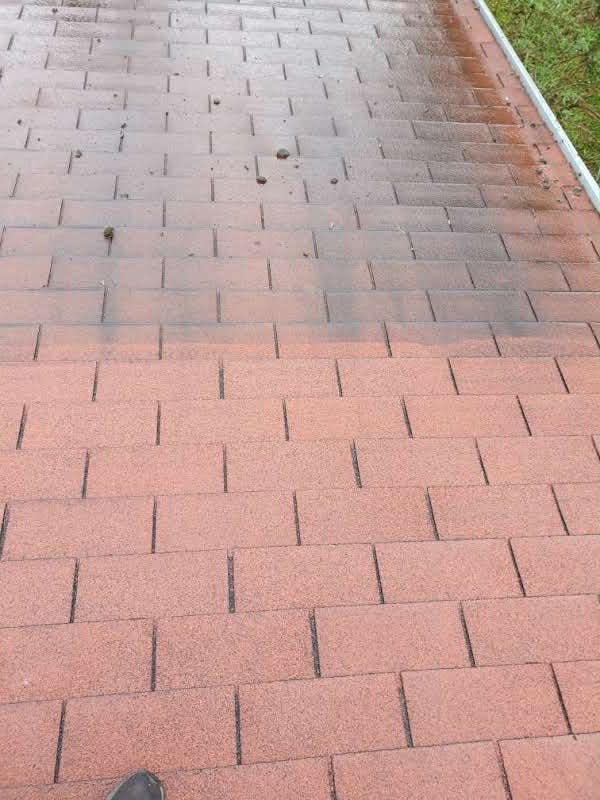 tetőtisztítás Pécs Pécs városában magasnyomású mosóval