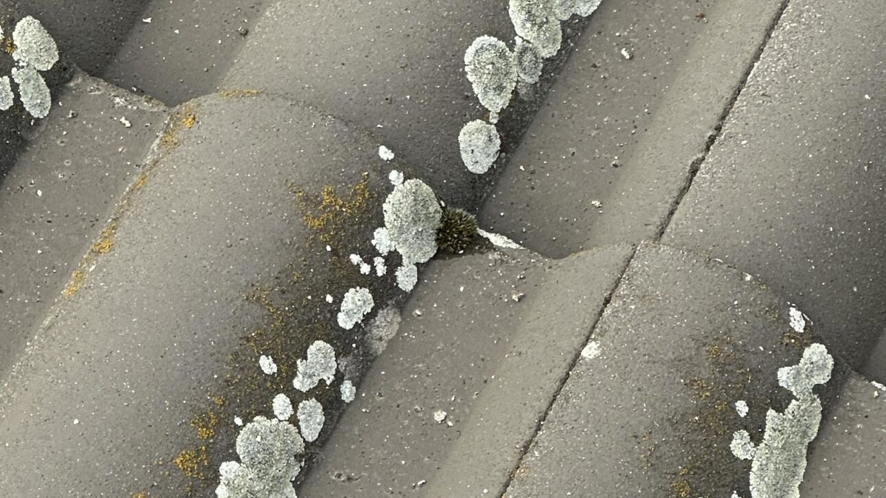 Tetőtisztítás Zalaegerszeg városában magasnyomású mosóval