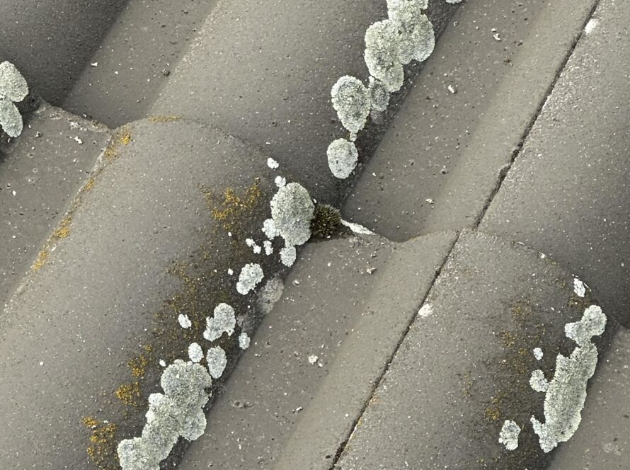 Tetőtisztítás Zalaegerszeg városában magasnyomású mosóval