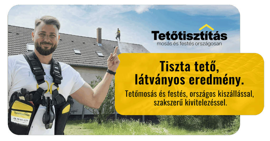 Tetőmosás és tetőfestés országosan szakemberrel